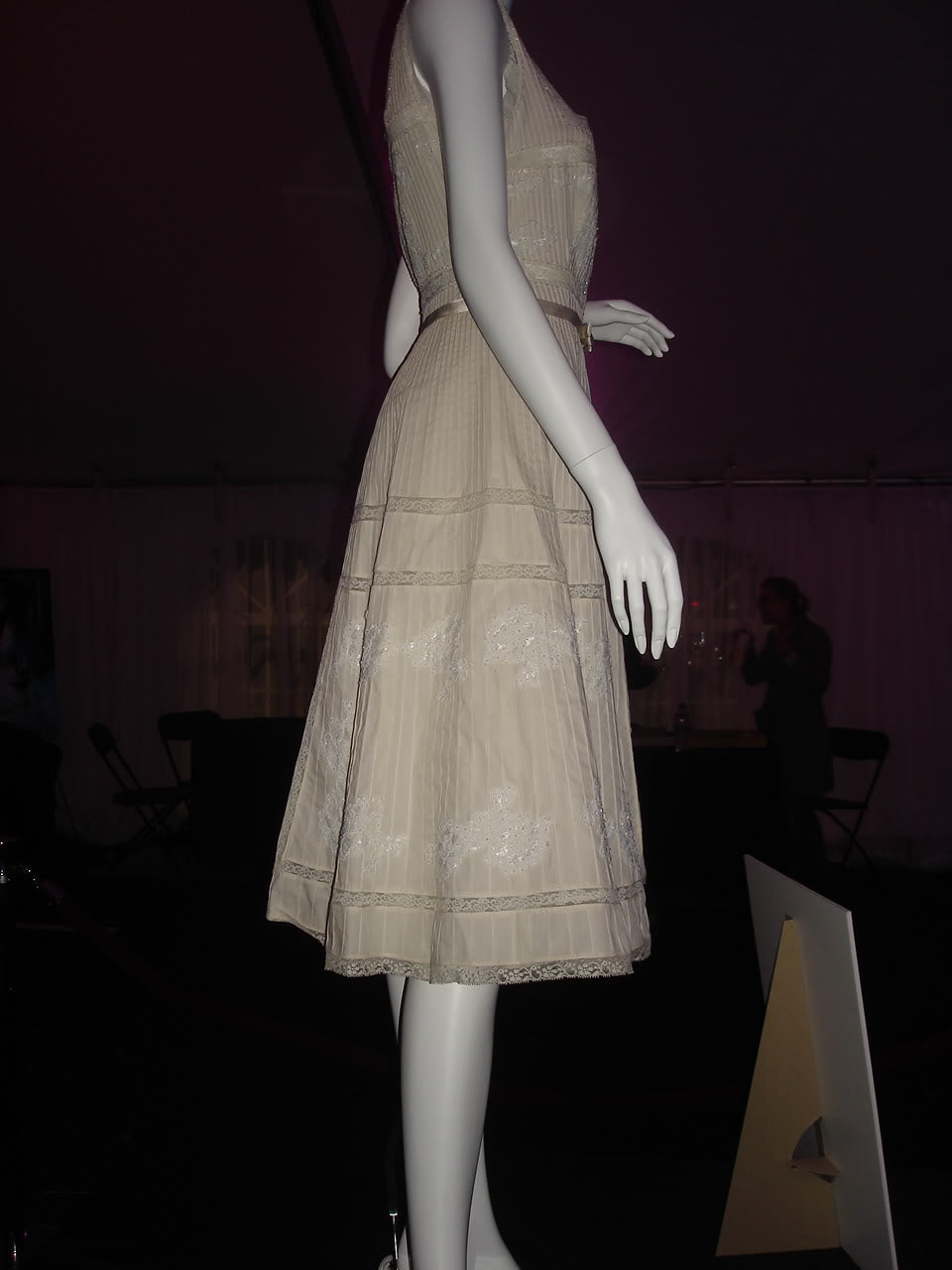 Enchanted Giselle Lace Dress Petticoat