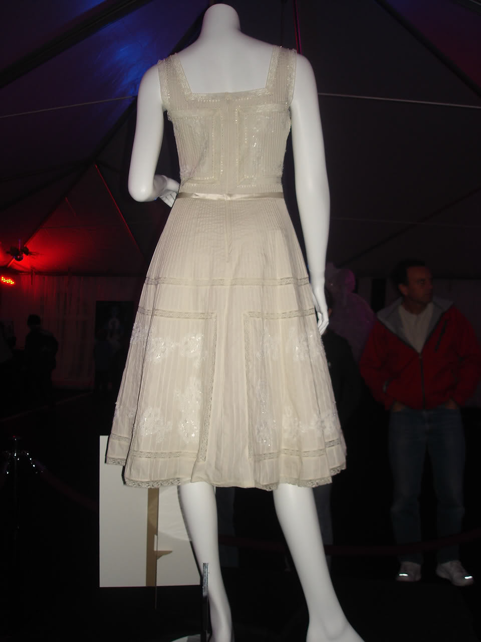 Enchanted Giselle Lace Dress Petticoat