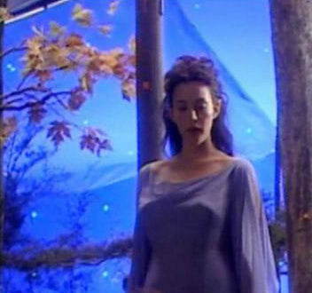 Lord of the Rings The Two Towers Arwen Dream Dress